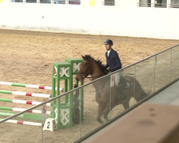 Reitturnier Stadl-Paura 2024