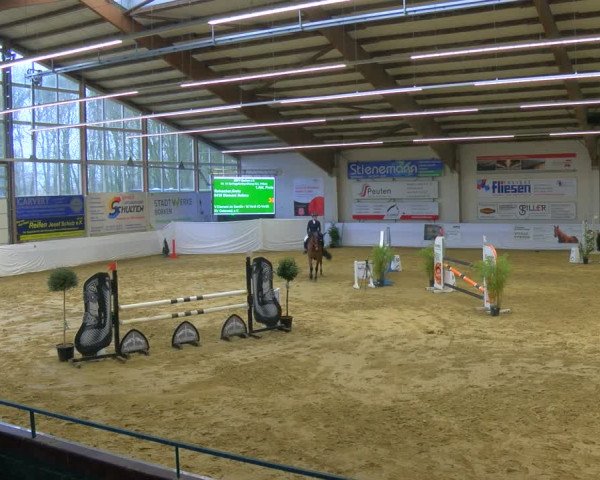Reitturnier Borken 2024