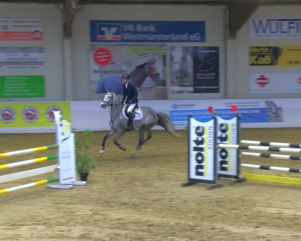 Reitturnier Borken 2024