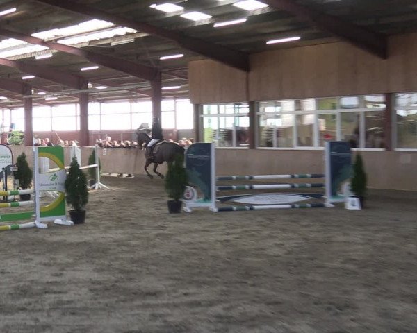 Reitturnier Ostenfelde-Vornholz 2024