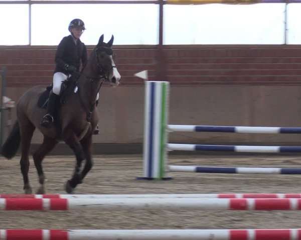 Reitturnier Ostenfelde-Vornholz 2024