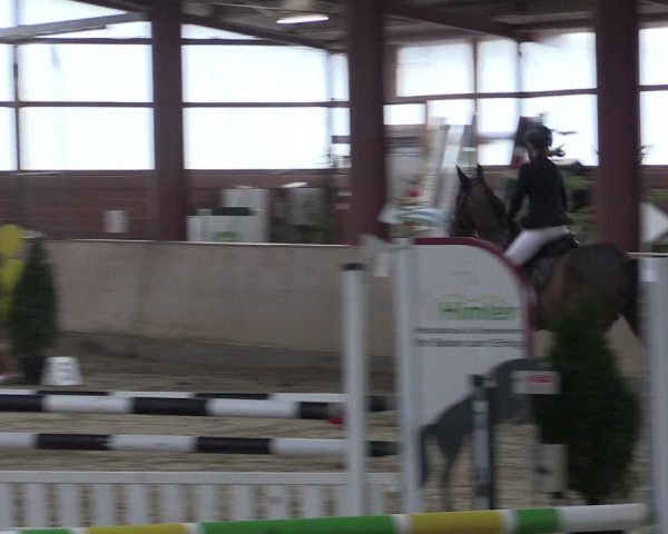 Reitturnier Ostenfelde-Vornholz 2024