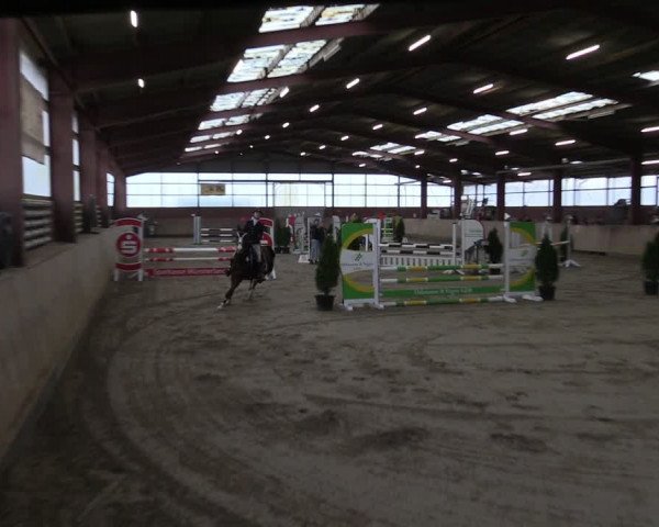 Reitturnier Ostenfelde-Vornholz 2024