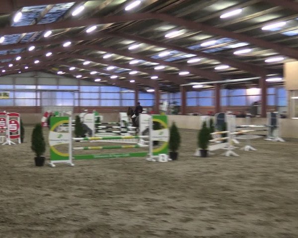 Reitturnier Ostenfelde-Vornholz 2024