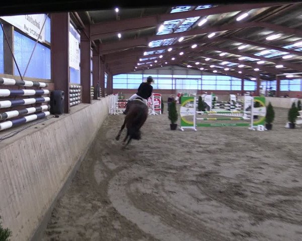 Reitturnier Ostenfelde-Vornholz 2024