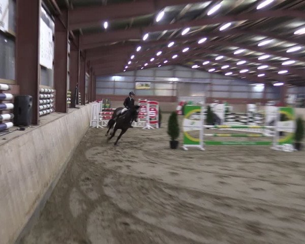 Reitturnier Ostenfelde-Vornholz 2024