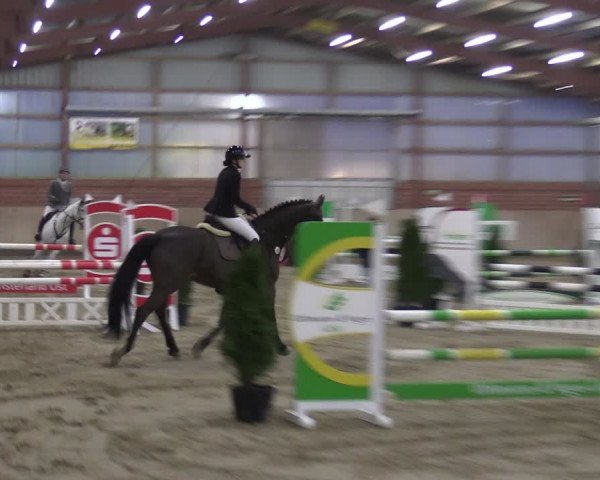 Reitturnier Ostenfelde-Vornholz 2024