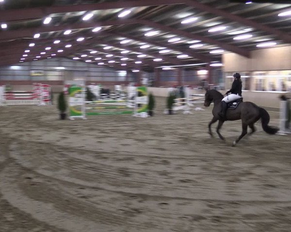Reitturnier Ostenfelde-Vornholz 2024