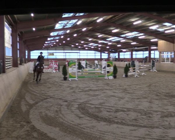 Reitturnier Ostenfelde-Vornholz 2024