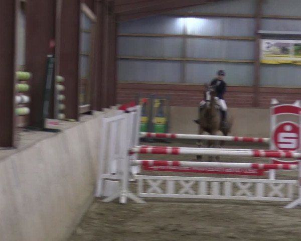 Reitturnier Ostenfelde-Vornholz 2024