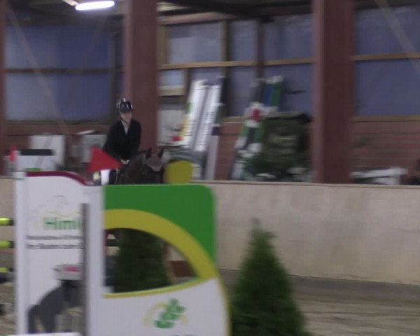 Reitturnier Ostenfelde-Vornholz 2024