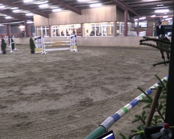 Reitturnier Ostenfelde-Vornholz 2024