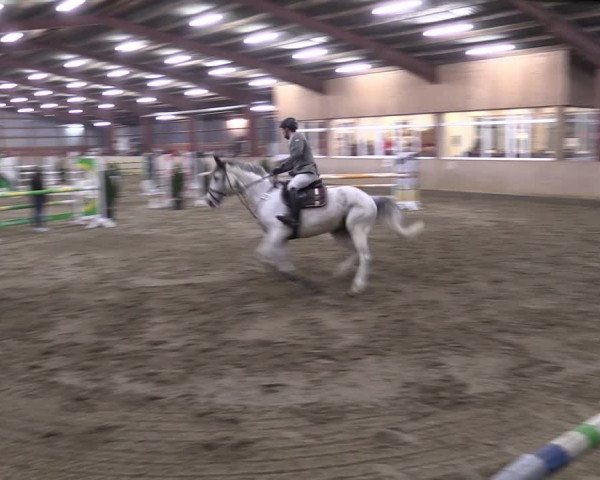 Reitturnier Ostenfelde-Vornholz 2024