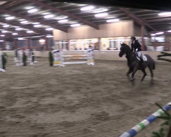 Reitturnier Ostenfelde-Vornholz 2024