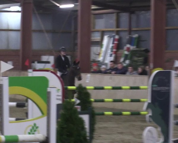 Reitturnier Ostenfelde-Vornholz 2024