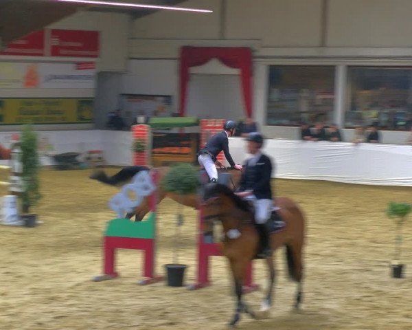 Reitturnier Borken 2024