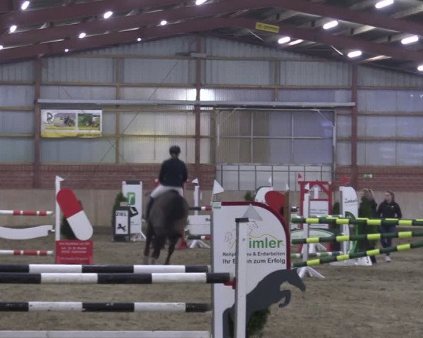 Reitturnier Ostenfelde-Vornholz 2024