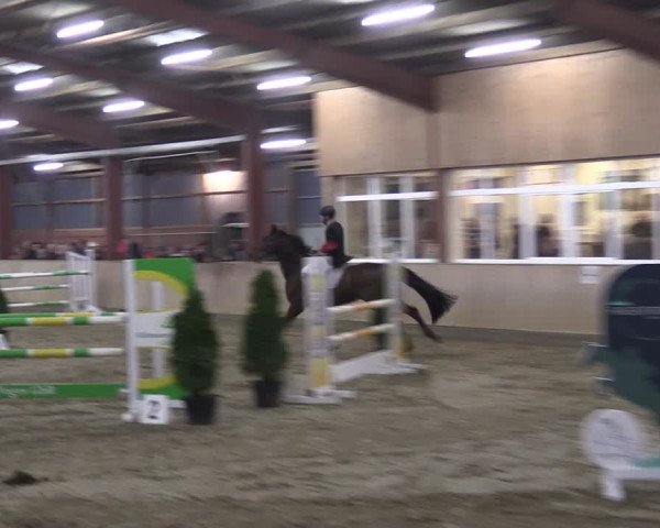 Reitturnier Ostenfelde-Vornholz 2024
