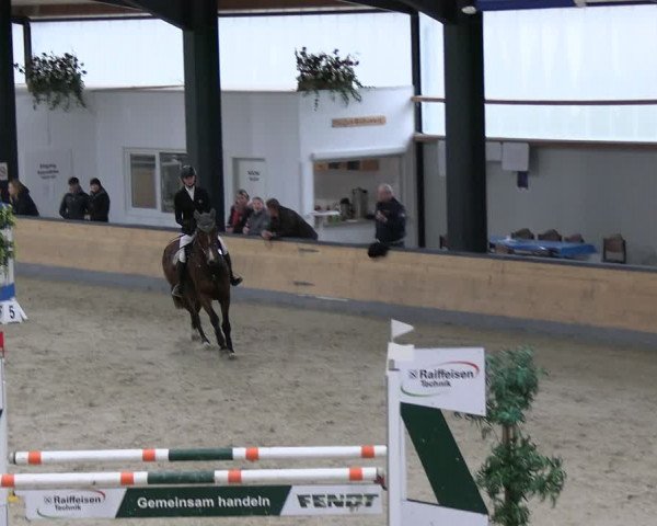 Reitturnier Borken 2024