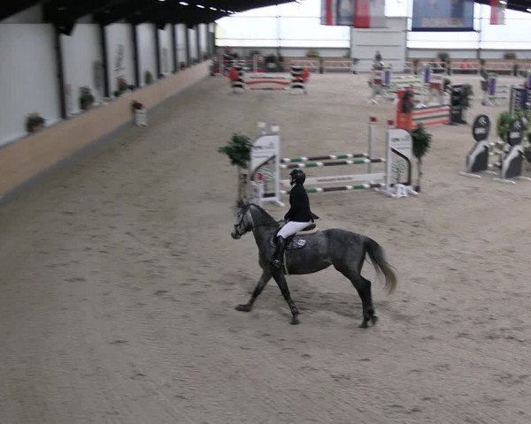 Reitturnier Borken 2024