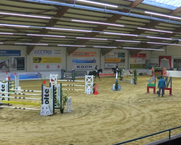 Reitturnier Borken 2024