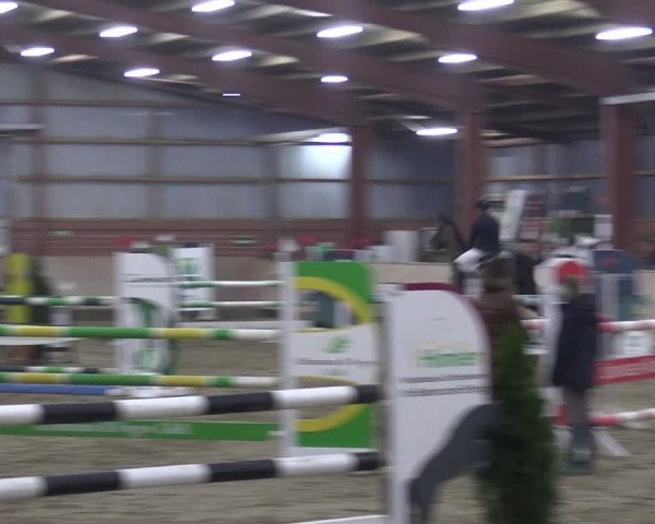 Reitturnier Ostenfelde-Vornholz 2024
