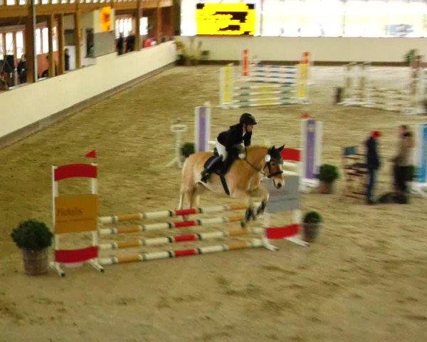 Reitturnier Fleesensee Classic´s 2024