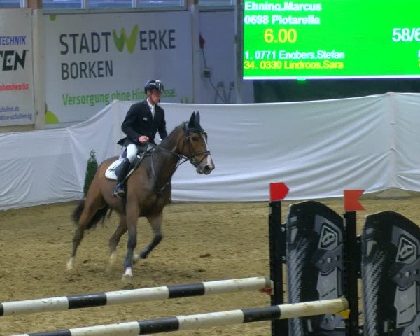 Reitturnier Borken 2024