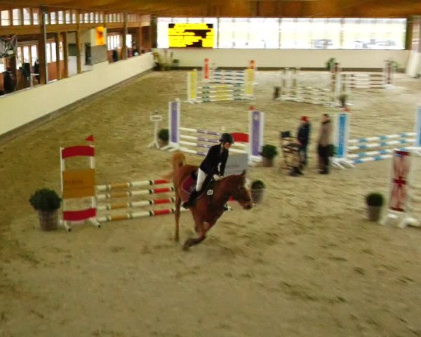 Reitturnier Fleesensee Classic´s 2024