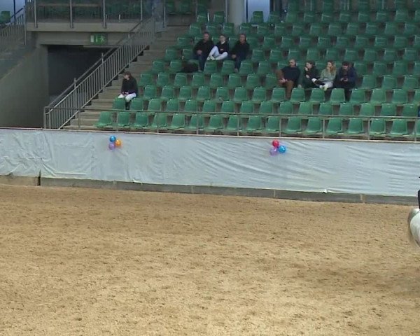 Reitturnier Kreuth/Opf. 2024
