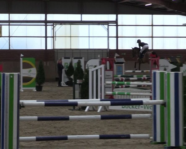 Reitturnier Ostenfelde-Vornholz 2024