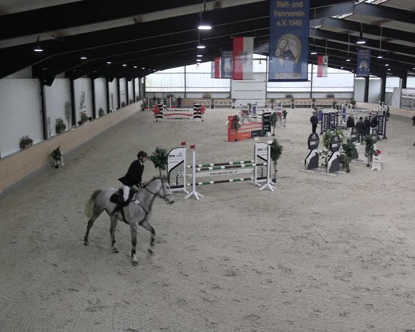 Reitturnier Borken 2024