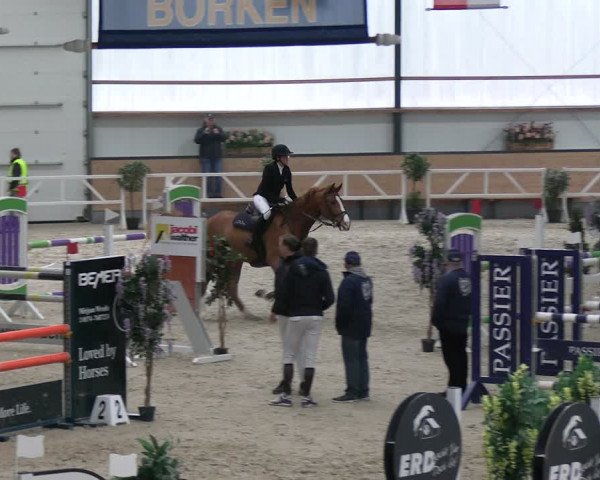 Reitturnier Borken 2024