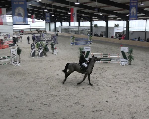 Reitturnier Borken 2024