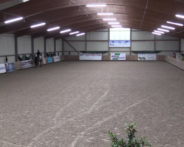 Reitturnier Hesel 2024