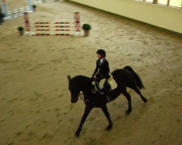 Reitturnier Fleesensee Classic´s 2024