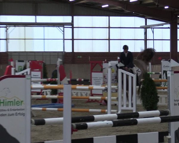 Reitturnier Ostenfelde-Vornholz 2024