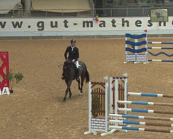 Reitturnier Kreuth/Opf. 2024