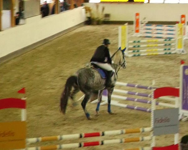 Reitturnier Fleesensee Classic´s 2024