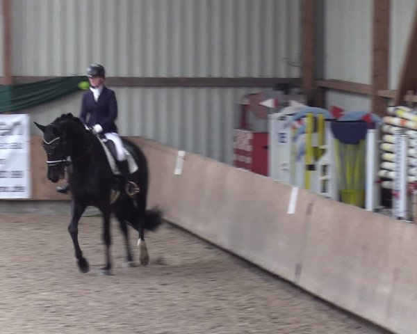 Reitturnier Hesel 2024