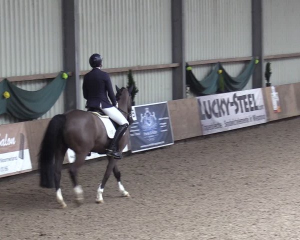 Reitturnier Hesel 2024