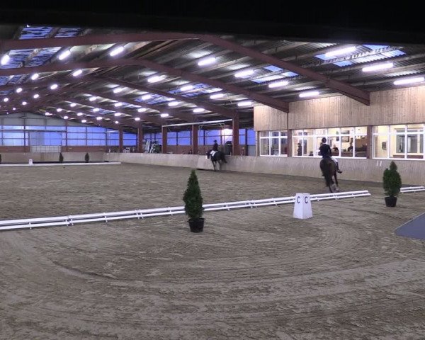 Reitturnier Ostenfelde-Vornholz 2024