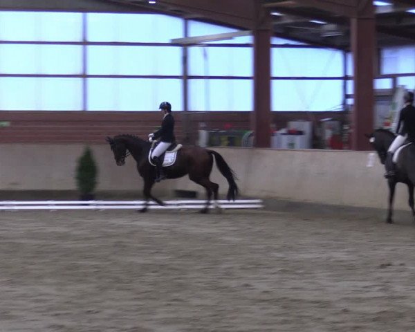 Reitturnier Ostenfelde-Vornholz 2024