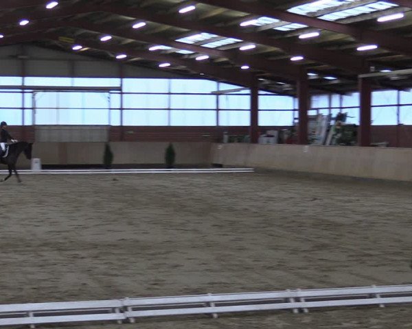 Reitturnier Ostenfelde-Vornholz 2024