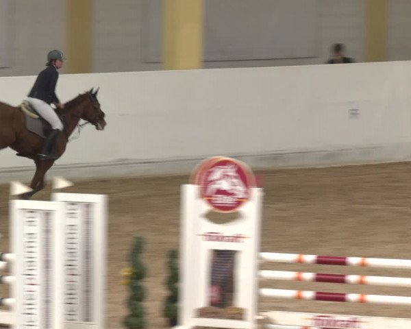 Reitturnier Stadl-Paura 2024