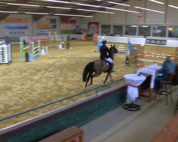 Reitturnier Borken 2024