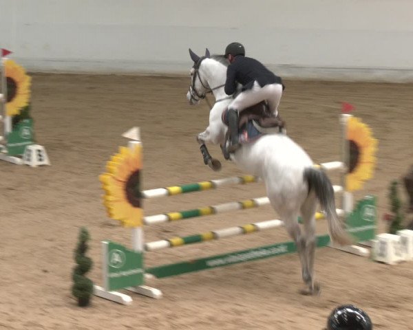 Reitturnier Stadl-Paura 2024