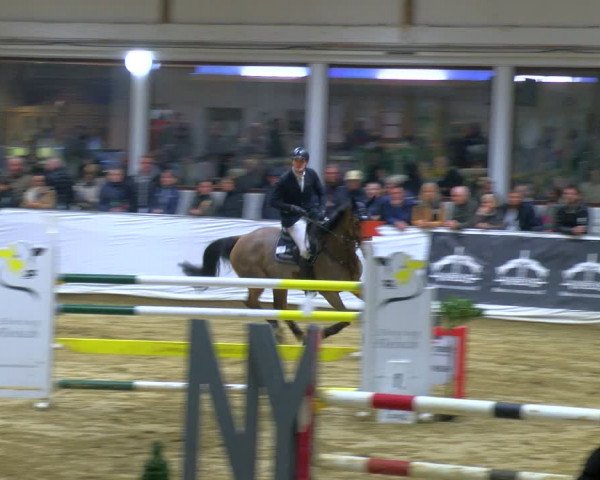 Reitturnier Borken 2024