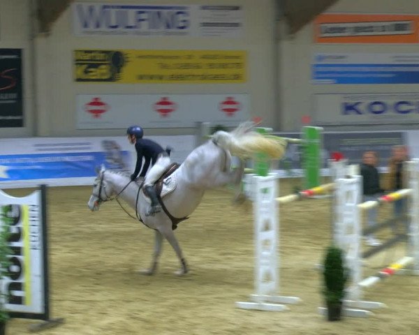 Reitturnier Borken 2024