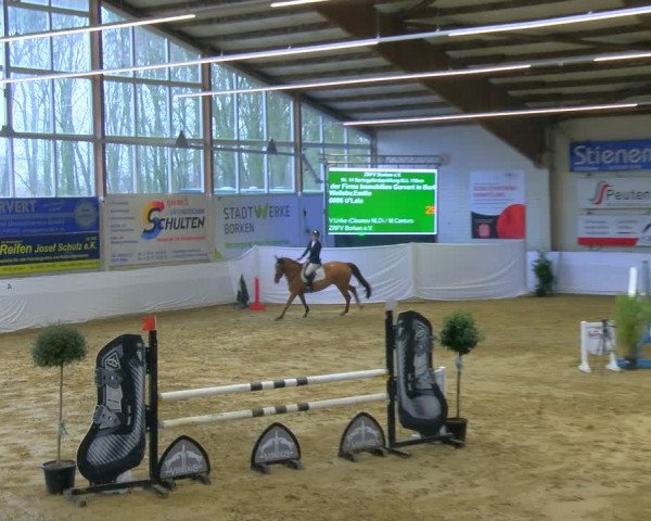 Reitturnier Borken 2024